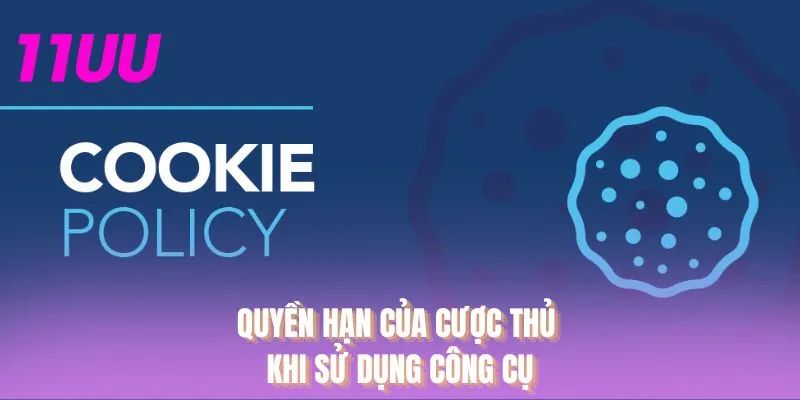 Quyền hạn của cược thủ khi sử dụng công cụ